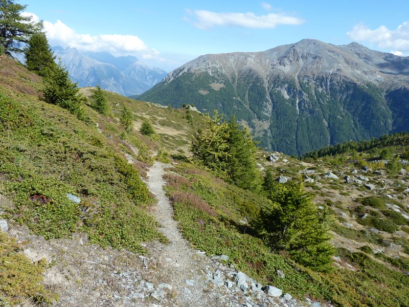 #10 Emshorn : Belles couleurs Emshorn : Belles couleurs