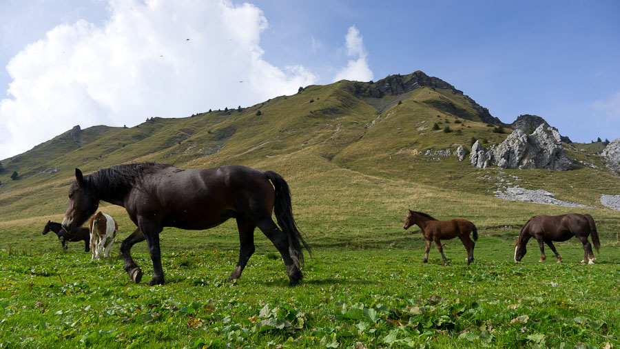 #15 Col de la Golèse : pas préssés de descendre dans la vallée ceux là Col de la Golèse : pas préssés de descendre dans la vallée ceux là