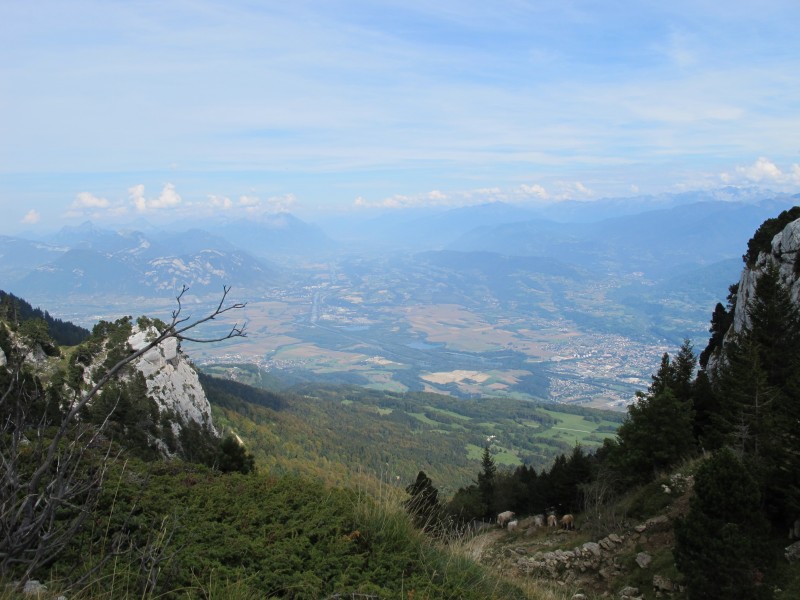 #11 ca bouchonne : dans le sentier ca bouchonne : dans le sentier