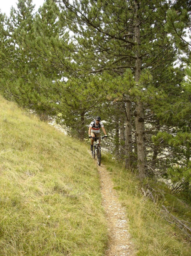 #9 Que du bon : sur la fin du sentier Que du bon : sur la fin du sentier