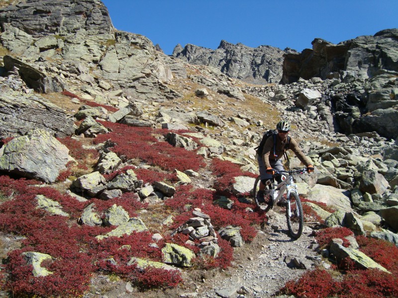 Tour Pic du Lac Blanc : on le voit mieux au milieu des myrtilles!