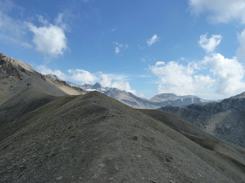 #5 Arête de l Arête de l'Arpille : Le Wildhorn au fond