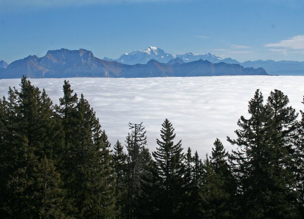 sommet du Semnoz : Tournette et Mont Blanc