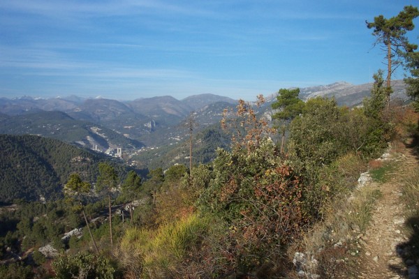 #14 Plateau Tercier : Toujours aussi beau. Au fond le Mercantour avec ses adrets encore un peu enneigés. Plateau Tercier : Toujours aussi beau. Au fond le Mercantour avec ses adrets encore un peu enneigés.
