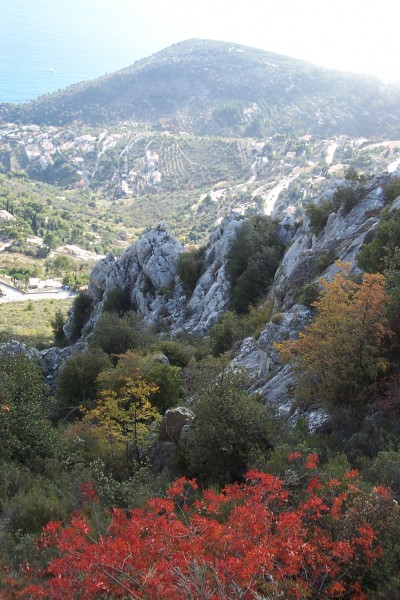 #2 Vue plongeante : couleurs d Vue plongeante : couleurs d'automne