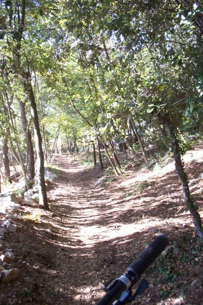 #7 Sous-bois : Bientôt on va croiser pour la seconde fois la route montant au fort depuis le col d Sous-bois : Bientôt on va croiser pour la seconde fois la route montant au fort depuis le col d'Eze.