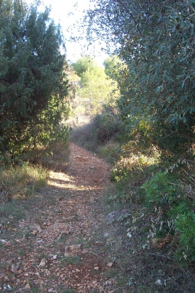 #13 Plateau Tercier : Départ du sentier Plateau Tercier : Départ du sentier
