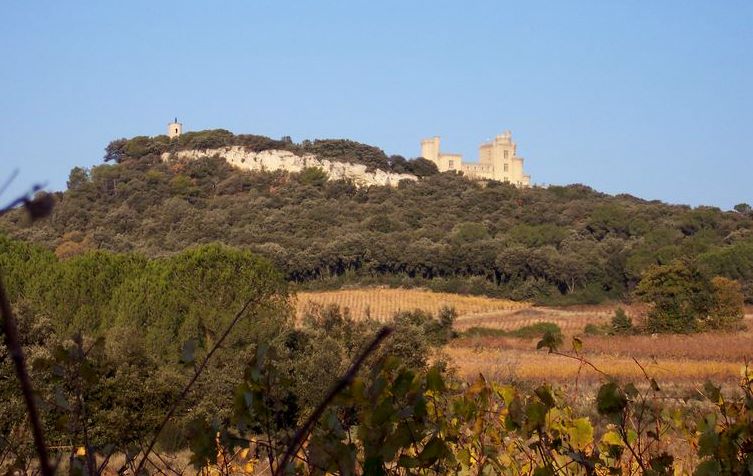#3 Château du Jonquier : Un peu avant d Château du Jonquier : Un peu avant d'arriver au ravitaillement.
(photo prise par Nicolas)