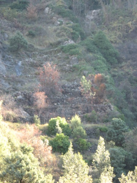 #6 Epingles de Bramafan : Le serpent .. après Epingles de Bramafan : Le serpent .. après