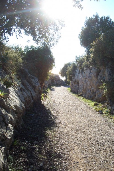 #2 Cime de la Forna : Un répit avant de continuer la montée Cime de la Forna : Un répit avant de continuer la montée