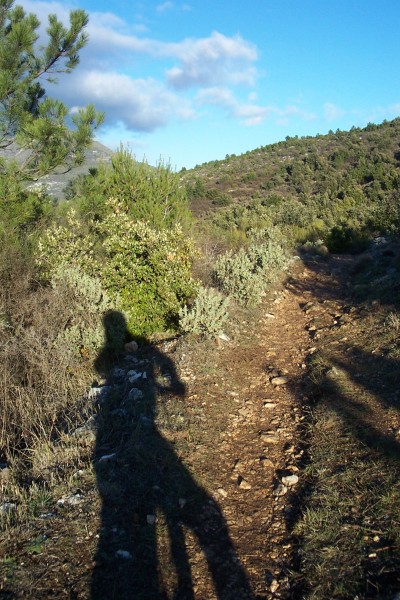 #3 Ubac de la forna : Un peu plus loin, le soleil commence à sécher le sentier. Mais ça reste glissant ! Ubac de la forna : Un peu plus loin, le soleil commence à sécher le sentier. Mais ça reste glissant !