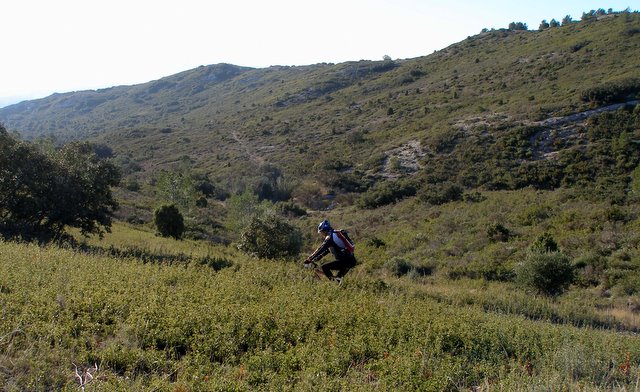 #7 Vallon : Dans la garrigue de la Montagnette Vallon : Dans la garrigue de la Montagnette