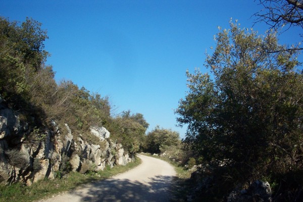#2 Piste Militaire : Un des rares moments de solitude lors de la montée. Piste Militaire : Un des rares moments de solitude lors de la montée.