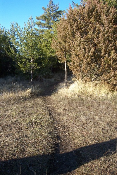 #3 Premier replat : Sentier très ludique Premier replat : Sentier très ludique