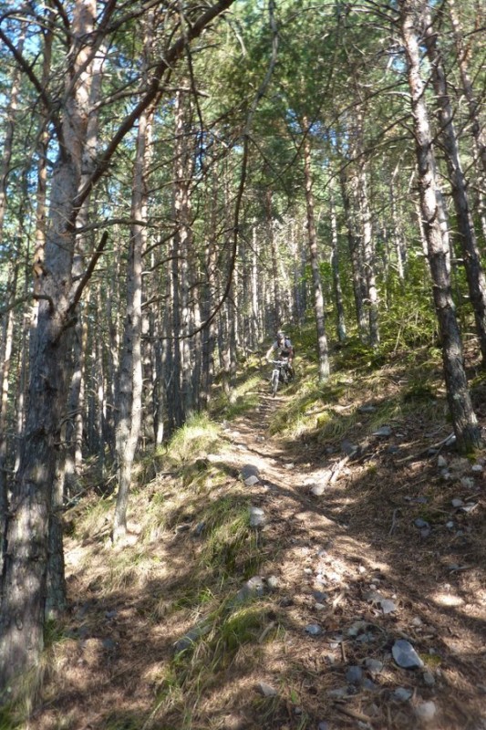 Descente du Mont Pela : Le sentier s'élargit sur le bas... Un peu de répis, mais ça ne dure pas