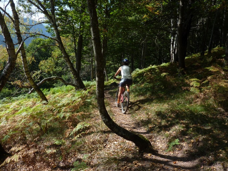 #8 Col de Saunères : Y Col de Saunères : Y'a pas que des cerfs dans ces bois...