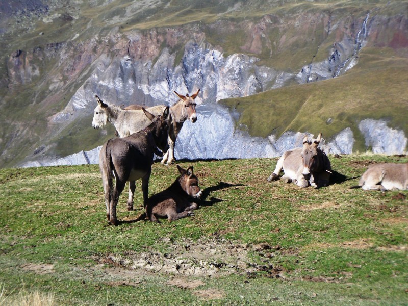 #4 Otoctones : Tete du Vallon Otoctones : Tete du Vallon