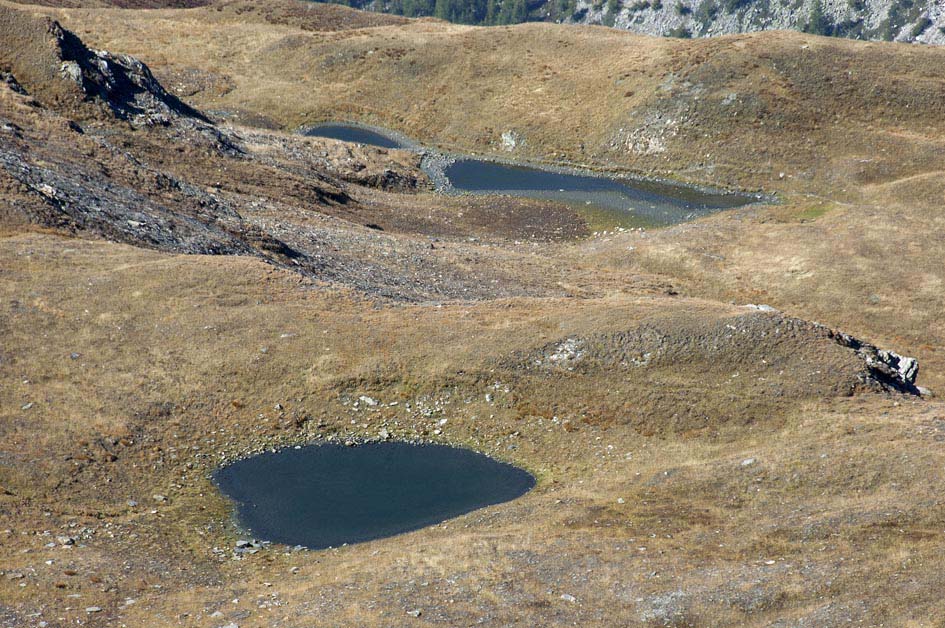 Pointe de la Belle Combe : Petites gouilles sous le grand Golliat