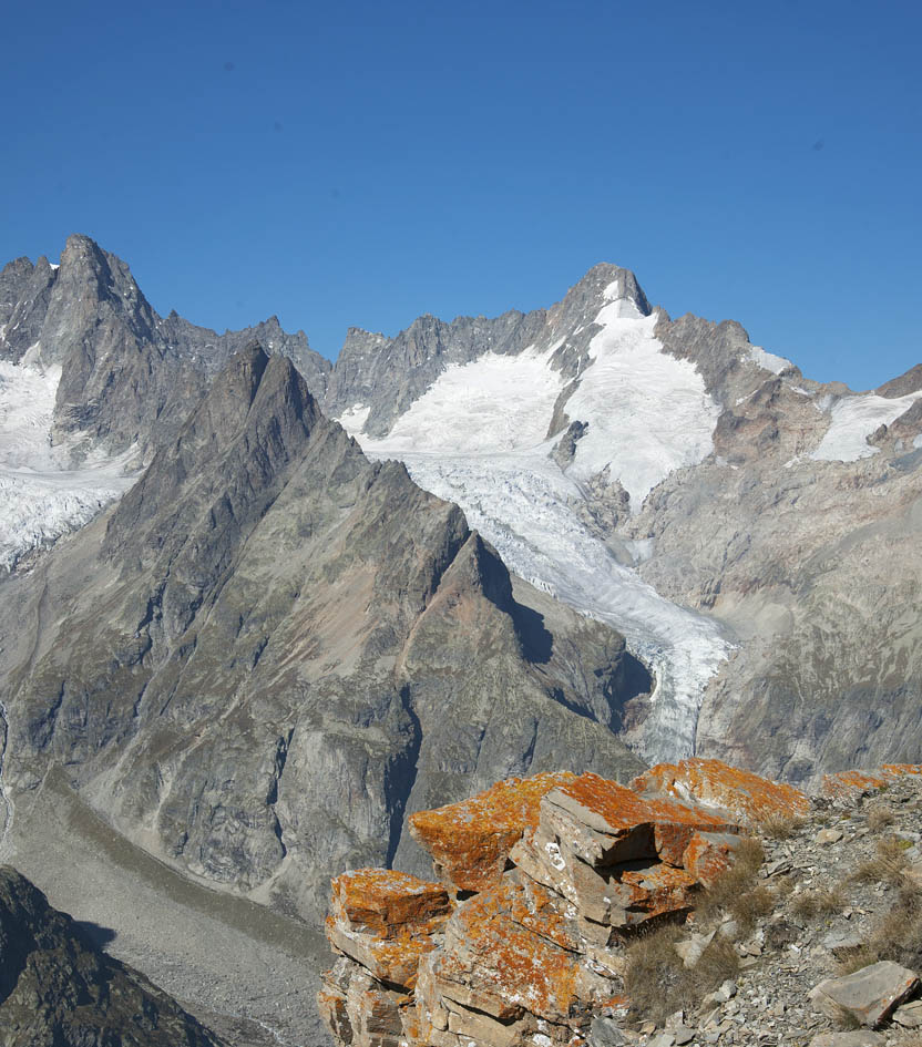 Pointe de la Belle Combe : Du sommet, le Dolent plein cadre