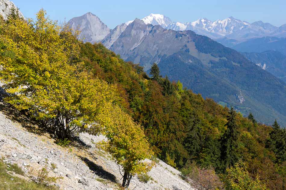 #5 Charvin et Mont-Blanc Charvin et Mont-Blanc