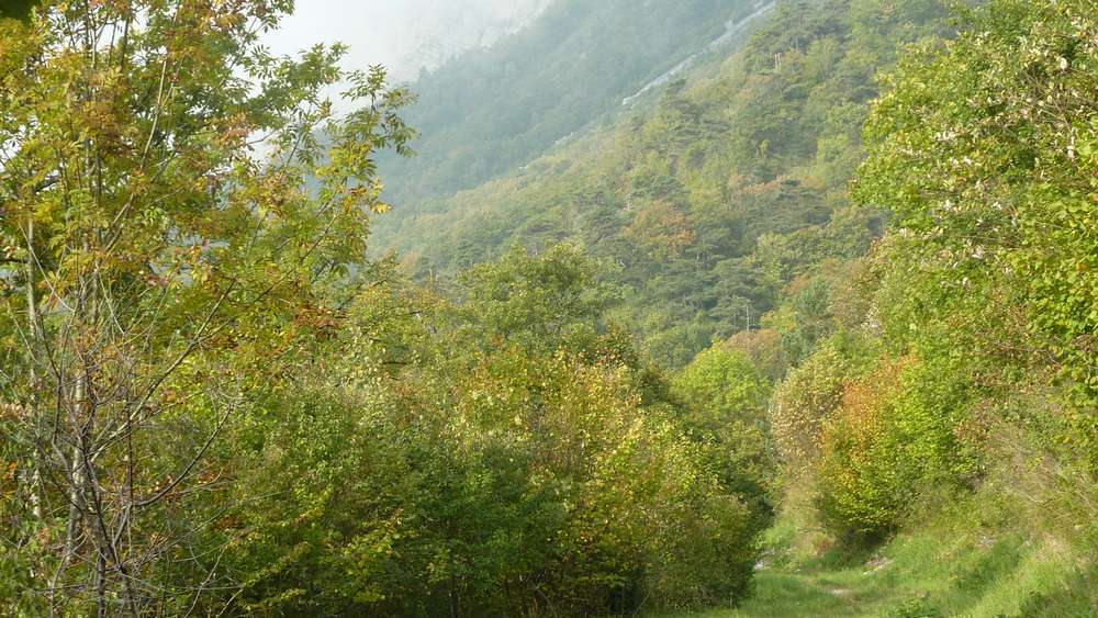 #2 direction Pierre Grosse : l direction Pierre Grosse : l'automne arrive
