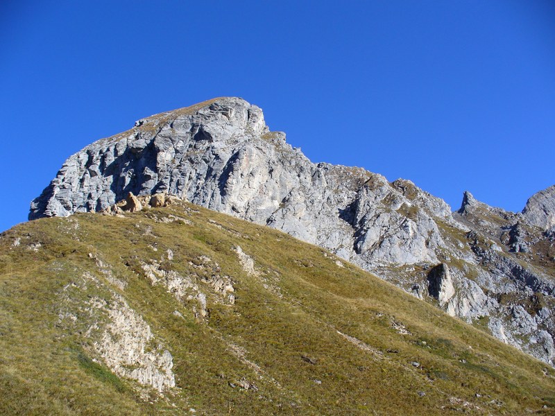 #18 Combes des Roches : Dents de la Portetta, suite Combes des Roches : Dents de la Portetta, suite