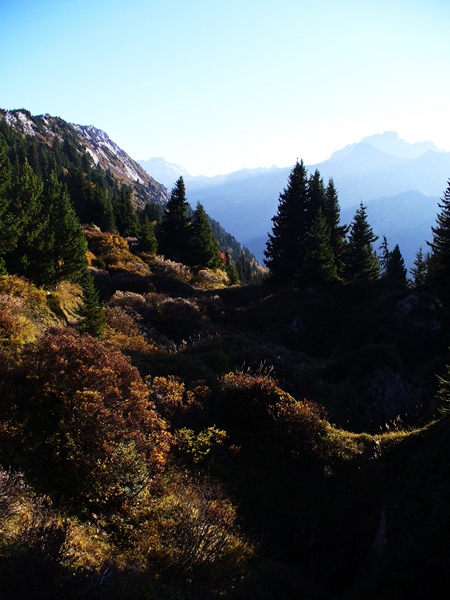 #30 Col de la Dent : C Col de la Dent : C'est l'automne, au col