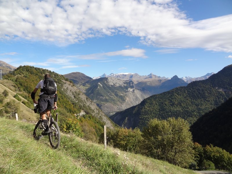 Bientôt les bonnes épingles : dans les bois