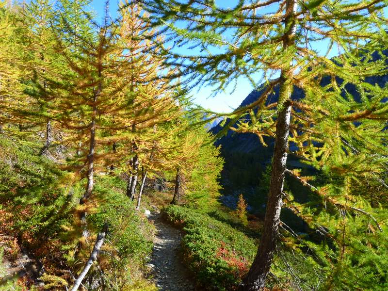 #2 Col de la Croix : Les couleurs d Col de la Croix : Les couleurs d'automne sont là