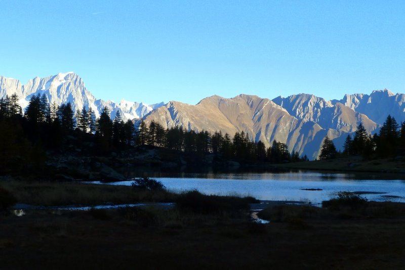 #1 Lac d Lac d'Arpy : Lac d'Arpy et Grdes Jorasses au petit matin