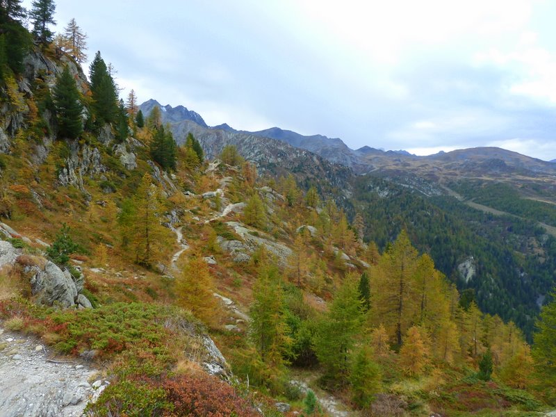 #22 Col de Planaval : Sentier tentant, et pourtant... Col de Planaval : Sentier tentant, et pourtant...