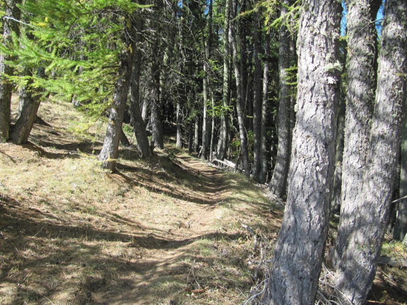 #4 aperçu du sentier : vraiment pourri !... aperçu du sentier : vraiment pourri !...