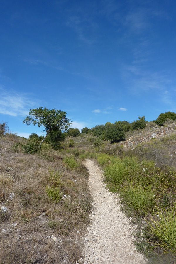 #2 Montée à la Baisse de Guigo : Tout sur le vélo en prenant une variante sur la gauche Montée à la Baisse de Guigo : Tout sur le vélo en prenant une variante sur la gauche