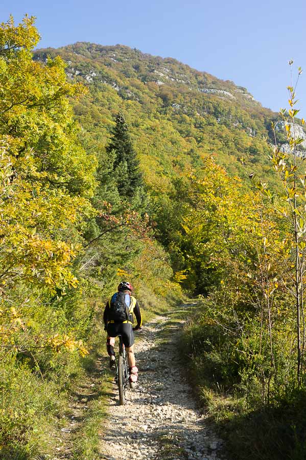 sympa le chemin de montée : 1000 de D+ d'un jet quand même