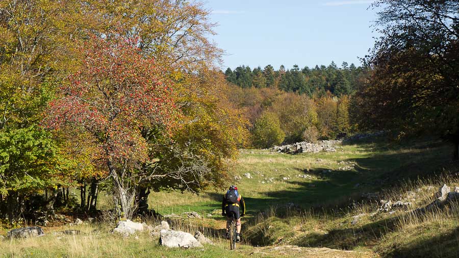 Granges de Scioux : belles ruines