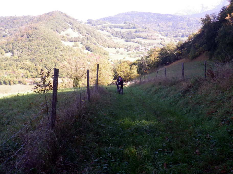 #11 Herbe humide : Traversée de la combe vers Revel Herbe humide : Traversée de la combe vers Revel
