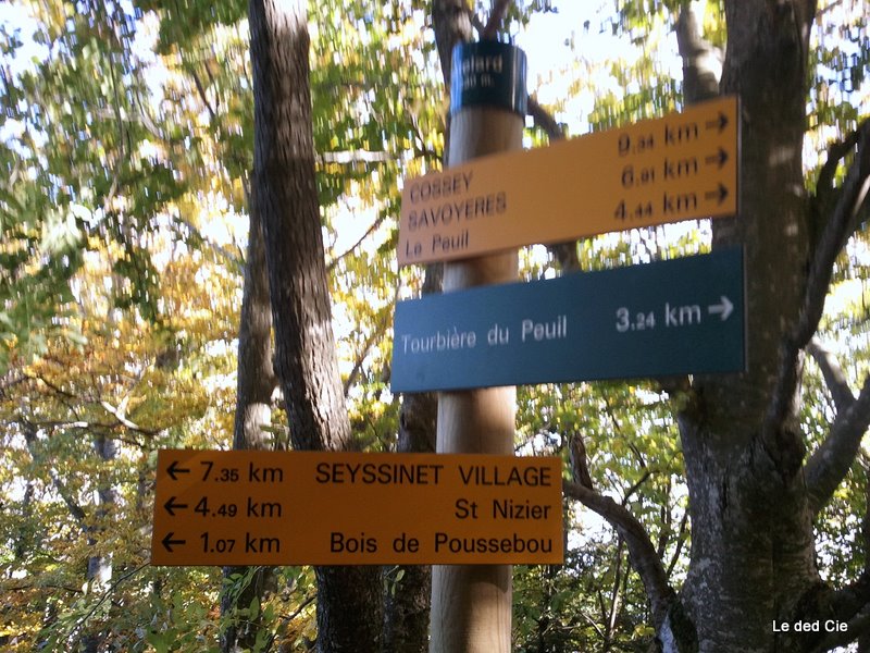 #1 le Chatelard : Au NW, St Nizier du Moucherotte via le sentier de la vie, au S, le Peuil et plein E, la descente le Chatelard : Au NW, St Nizier du Moucherotte via le sentier de la vie, au S, le Peuil et plein E, la descente