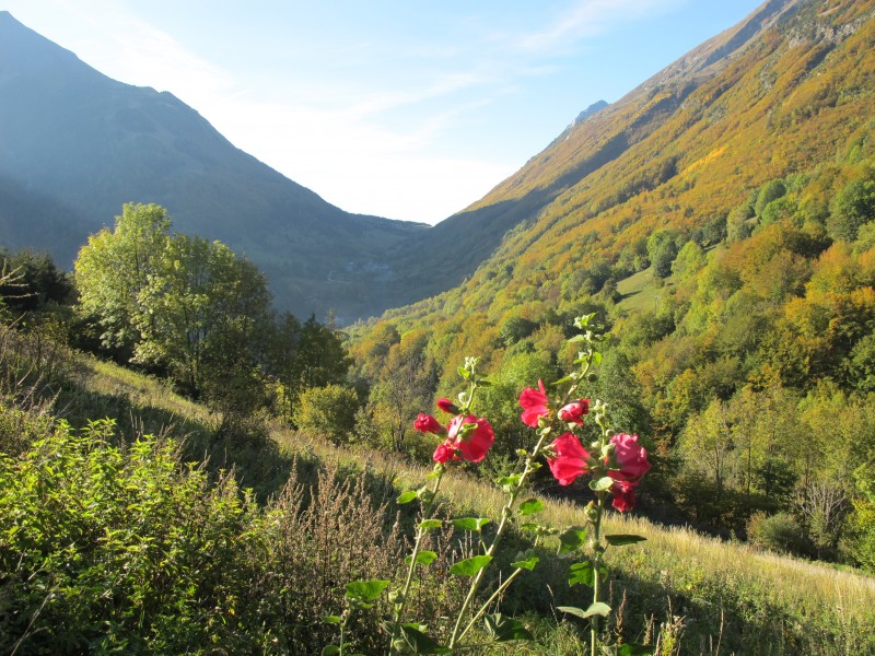 #1 slyeb : le col d slyeb : le col d'Ornon