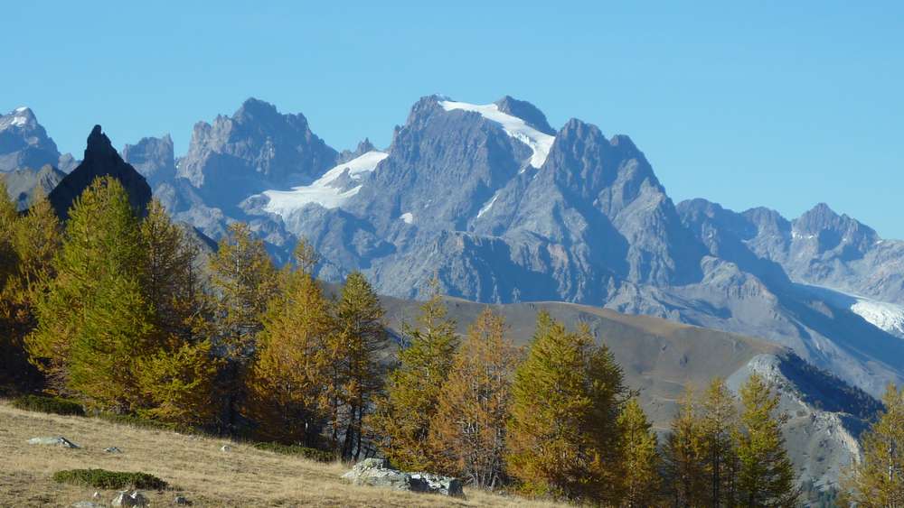 Pelvoux et Pic Sans Nom : les melezes prennent leur tenue d'automne