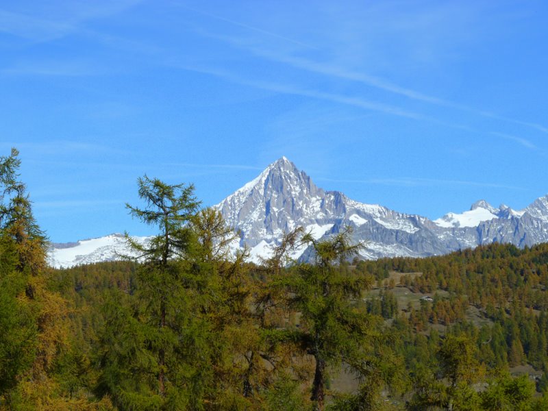 #3 Bietschhorn : Bietschhorn au dessus de Moosalp Bietschhorn : Bietschhorn au dessus de Moosalp