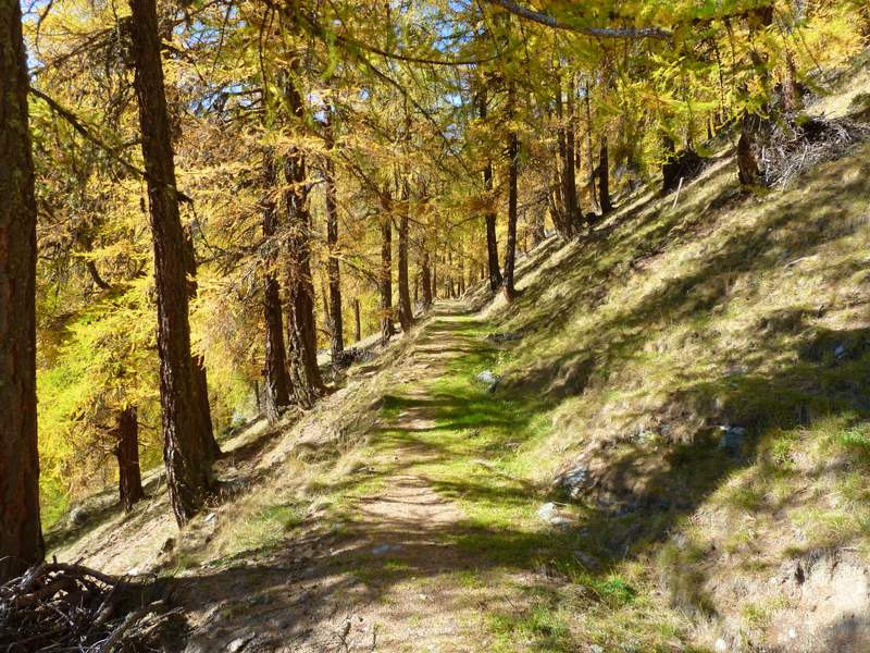 #4 Mattertal : Parcours de bisse Mattertal : Parcours de bisse