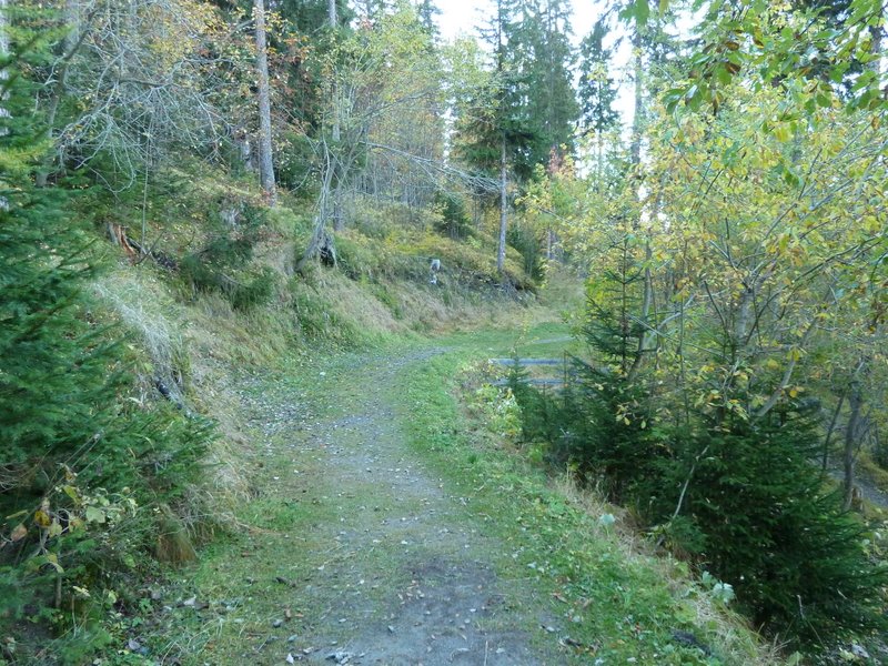 #4 Bisse de Saxon : Parcours de bisse facile Bisse de Saxon : Parcours de bisse facile