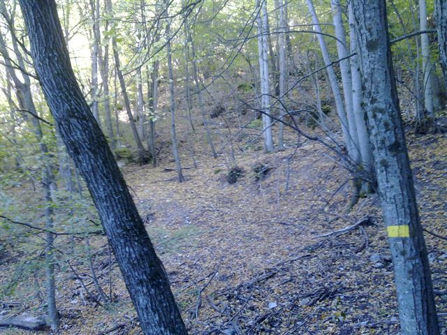 #10 agù 2 : une portion dans le bois du mont agù agù 2 : une portion dans le bois du mont agù