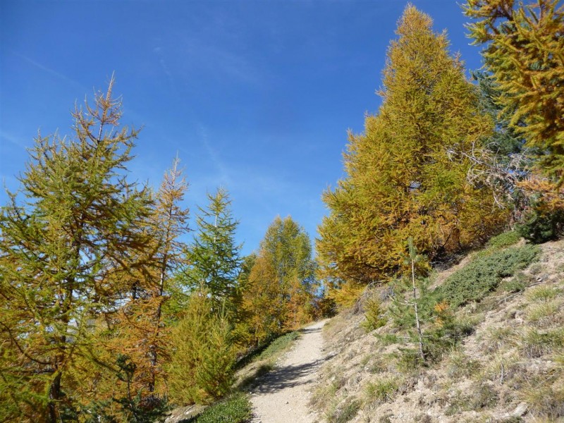 #15 Pointe de Rasis : Ahh, trop beau... Pointe de Rasis : Ahh, trop beau...
