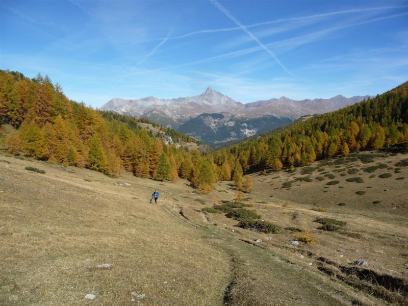 #7 Pointe de Rasis : la remontée au col fromage. Pointe de Rasis : la remontée au col fromage.