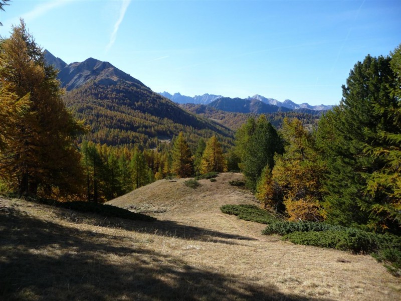 #5 Pointe de Rasis : Du sommet Bucher, vue sur la crête des Chambrettes au loin. Pointe de Rasis : Du sommet Bucher, vue sur la crête des Chambrettes au loin.