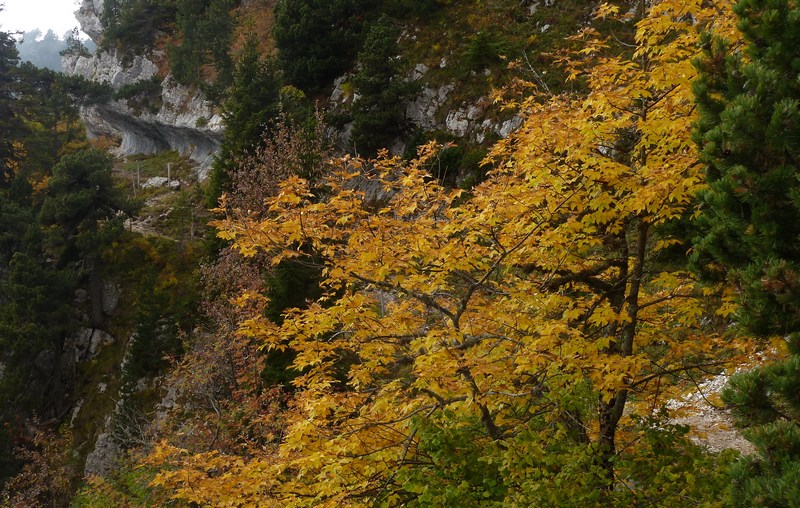 #6 Croix de L Croix de L'Alpe : Les vires
