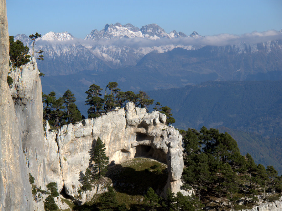 #1 Dans le cirque : la cabane à chamois, mais où sont-ils ? Dans le cirque : la cabane à chamois, mais où sont-ils ?