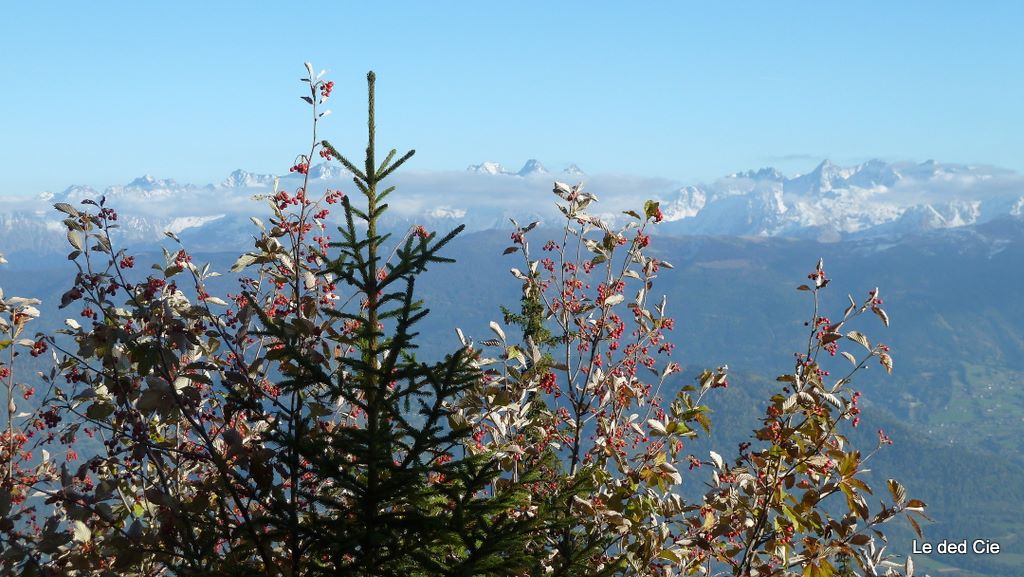 #12 Belledonne : Poéte. Pouet, pouet! Belledonne : Poéte. Pouet, pouet!