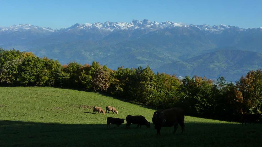 #7 Meuh bis... : pas encore de sous couche sur Belledonne Meuh bis... : pas encore de sous couche sur Belledonne